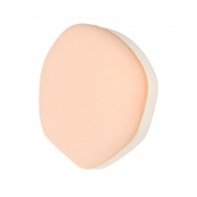 Запасная щеточка спонж для VANAV Cover Fit